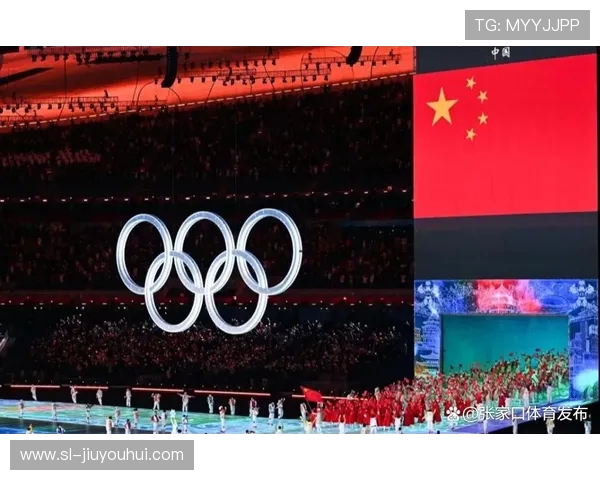 林芝市队盛大入场仪式点燃全场观众激情时刻的难忘瞬间再度绽放光彩