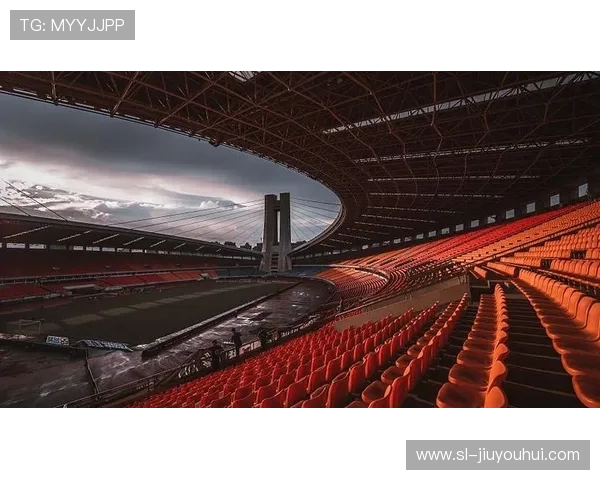 一场足球观众席冲突事件全景回溯与深度纪实报道全程始末剖析全局